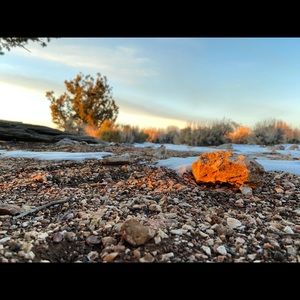 Meet your Posher, Jackson